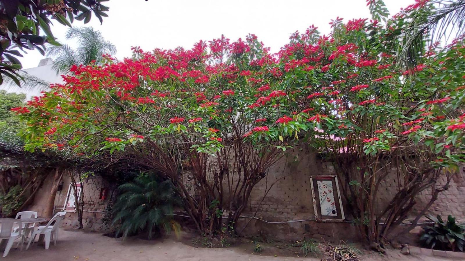 Samsara Hotel Salta Exterior foto